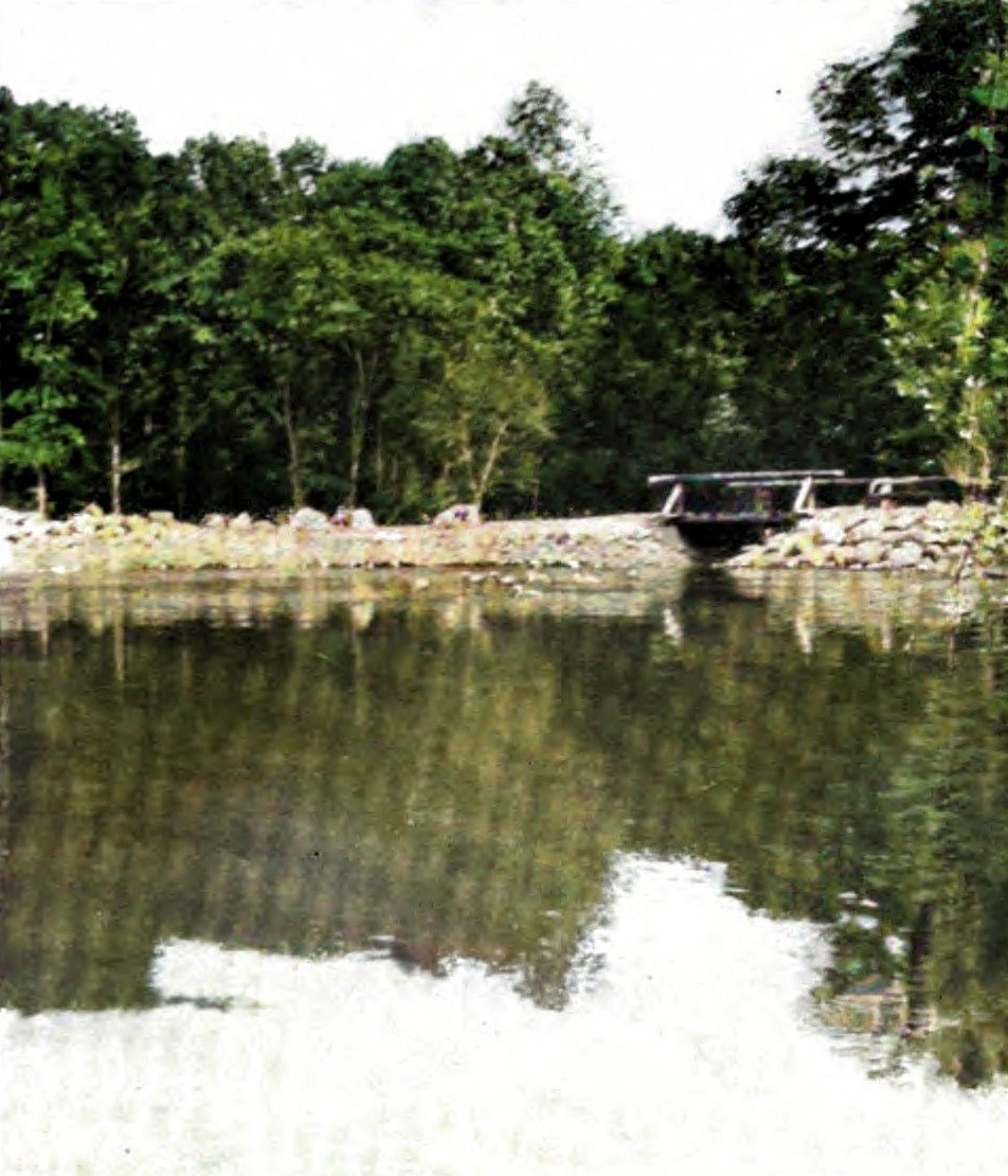 Jeden ze tří rybníků ve Wyndygoulu v červenci 1902. Pravděpodobně se jedná o hráz největšího rybníka u domu, kolem kterého vedla nová příjezdová cesta k domu.