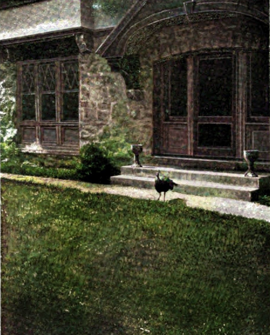 Wyndygoulský páv v červenci 1902