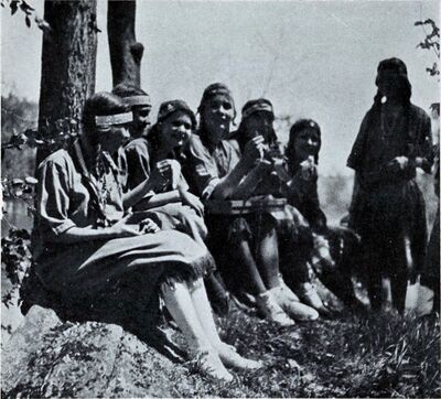 The Woodcraft Girls in the City 1918-illus7.jpg
