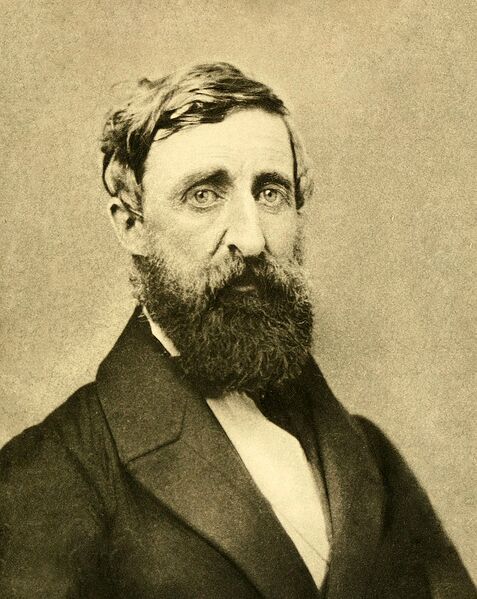 Soubor:Henry David Thoreau.jpg